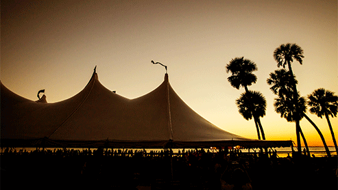 event tent and palm trees in a sunset