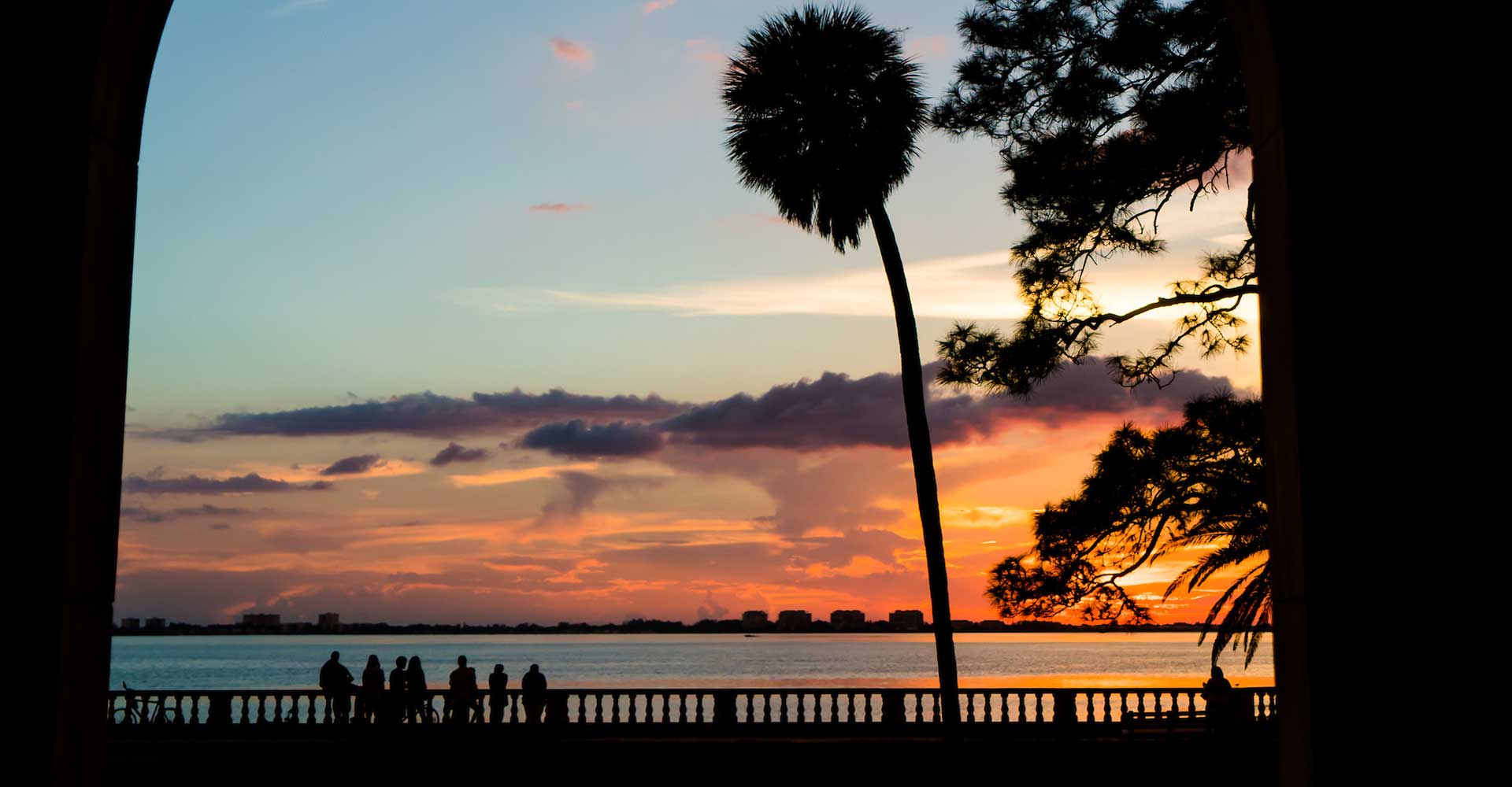 sunset palm tree in an arch